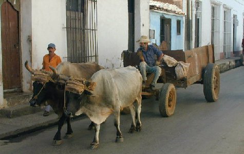 Remedios-20.jpg 34.06 K