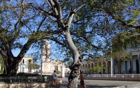 Remedios-33.jpg 75.80 K