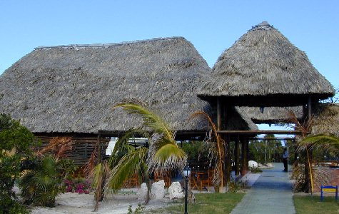 Restaurant-LosCocos-1.jpg 48.35 K