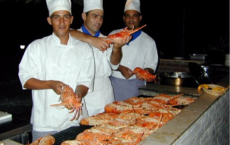 Restaurant-LosCocos-4.jpg 44.76 K