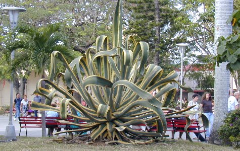 SantaClara-17.jpg 68.92 K