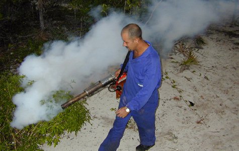 Services-fogging-1.jpg 38.32 K