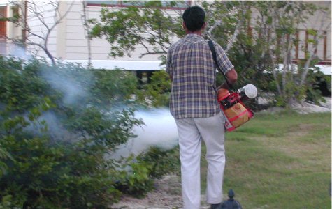 Services-fogging-2.jpg 39.58 K