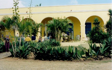 Trinidad-01.jpg 50.56 K