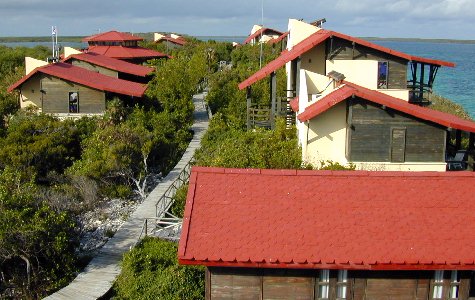 cayolasbrujas-01.jpg 51.38 K