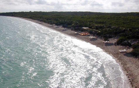 cayolasbrujas-03.jpg 51.64 K