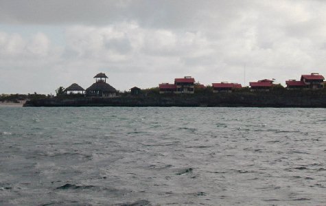 cayolasbrujas-04.jpg 26.82 K