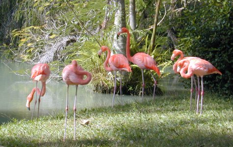 fuentedevida-10.jpg 58.89 K