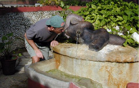 fuentedevida-11.jpg 50.19 K