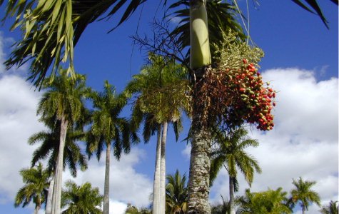 fuentedevida-12.jpg 44.93 K