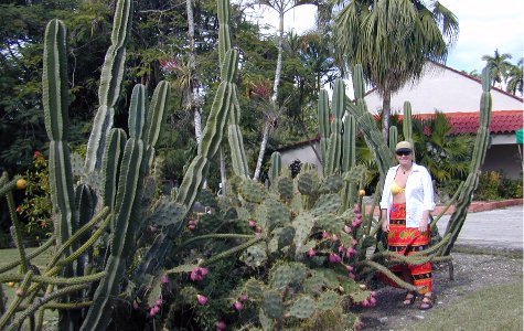 fuentedevida-13.jpg 60.12 K