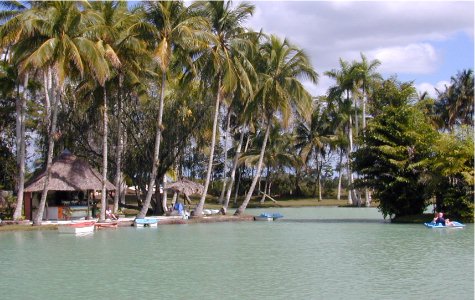 fuentedevida-14.jpg 49.05 K