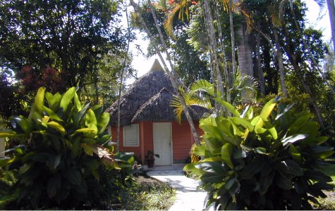 fuentedevida-16.jpg 56.53 K