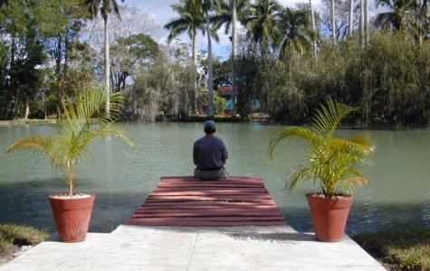 fuentedevida-17.jpg 44.61 K