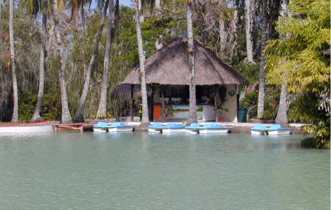 fuentedevida-20.jpg 46.06 K