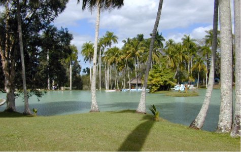 fuentedevida-8.jpg 43.68 K