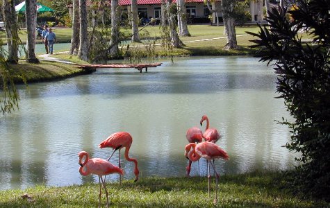 fuentedevida-9.jpg 49.54 K